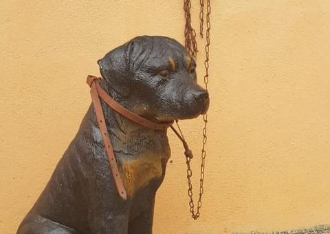 PM verifica denúncia de maus-tratos, mas descobre cão de plástico 