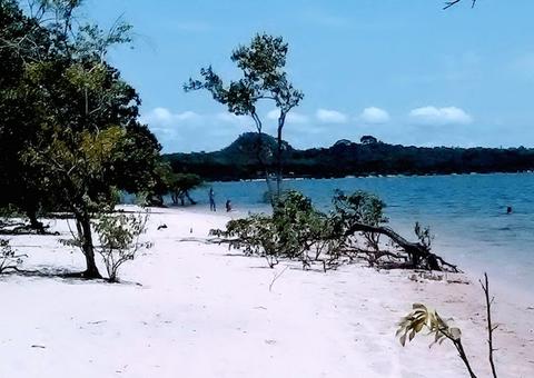 Natureza melhora humor de pacientes em tratamento