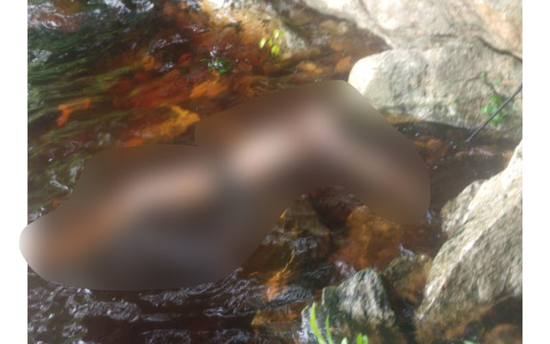 Corpo de homem é encontrado boiando na praia da Ponta Negra