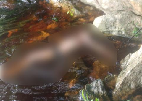 Corpo de homem é encontrado boiando na praia da Ponta Negra