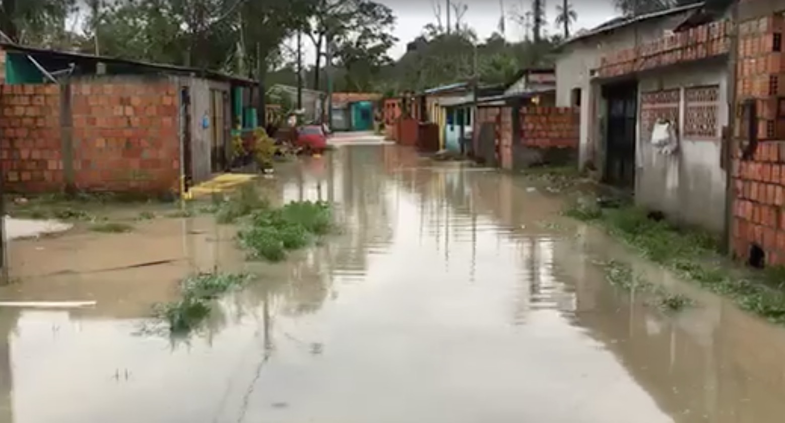 Chuva causa estragos e deixa moradores desesperados em Manaus