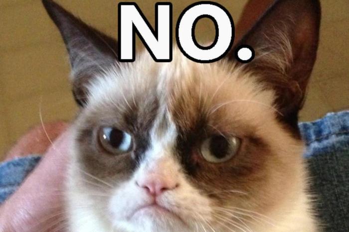 Morre Grumpy Cat, a gatinha rabugenta que virou meme da Internet