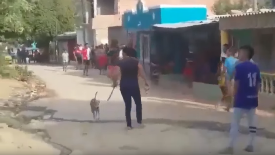 Vizinhas brigam com pedras e facões após mudança de senha do wi-fi compartilhado