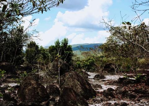 Senador questiona aplicação dos  recursos do Fundo Amazônia