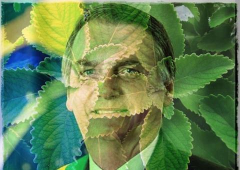 Hashtag #BoldonaroNossoPresidente viraliza, sugere uso de robôs e vira meme de chá de boldo