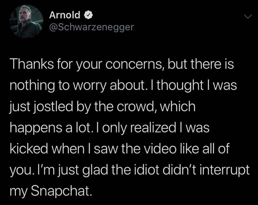 “Pensei que estava sendo empurrado pela multidão”, disse Schwarzenegger após agressão 
