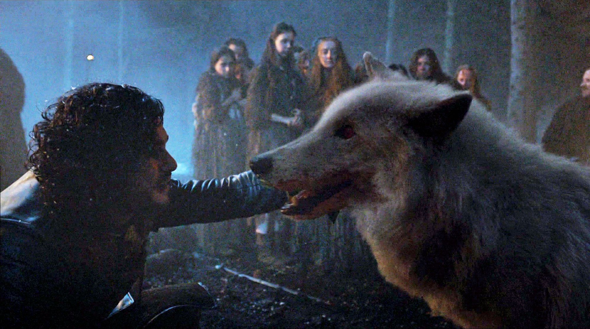'Game of Thrones' faz aumentar abandono de cães semelhantes a lobos