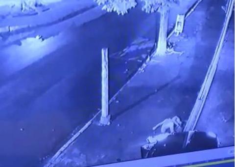 Após discussão, homem atropela e arrasta namorada por avenida