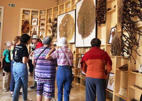  Idosos residentes da Fundação Doutor Thomas participam de passeio turístico