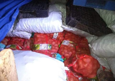 Quase 5 toneladas com mangas hospedeiras de parasita são apreendidas no Amazonas 