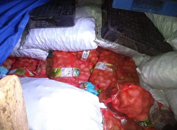 Quase 5 toneladas com mangas hospedeiras de parasita são apreendidas no Amazonas 