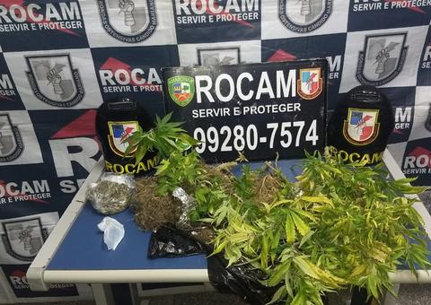 Homem é detido com plantação de maconha dentro de residência em Manaus 