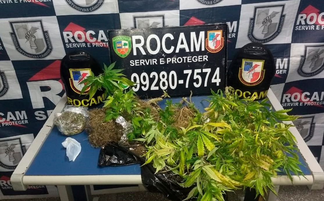 Homem é detido com plantação de maconha dentro de residência em Manaus 