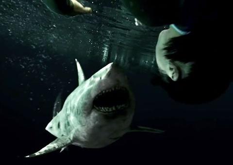 Tubarões atacam no trailer de Medo Profundo 2