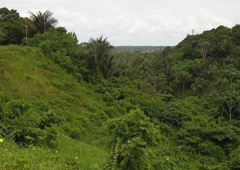 Ufam lança atlas online com objetivos de desenvolvimento sustentável 