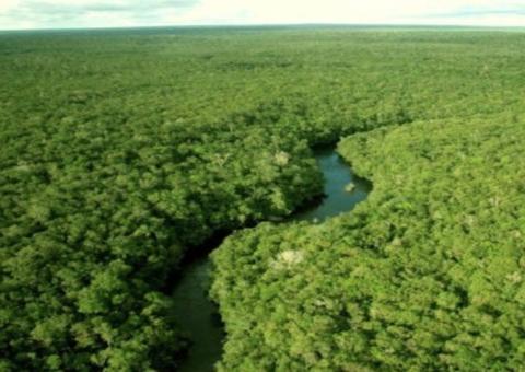 Governo planeja contratar PMs de folga para fiscalizar região da Amazônia