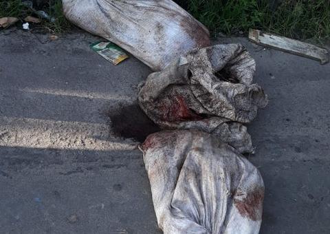 Corpo esquartejado é encontrado dentro de sacos em rua de Manaus 