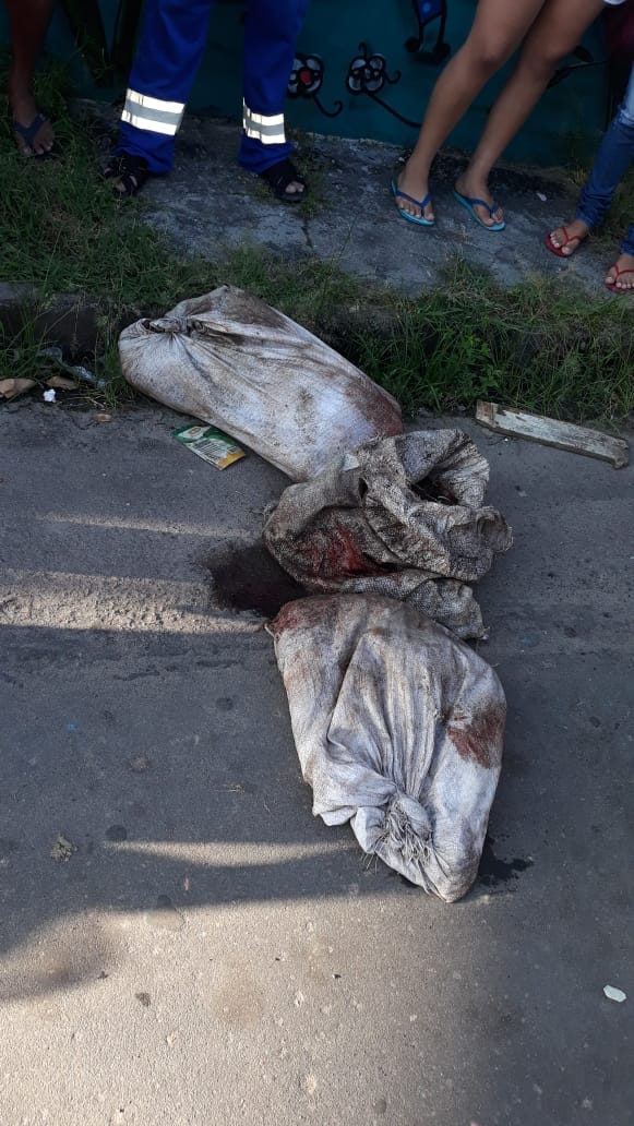 Corpo esquartejado é encontrado dentro de sacos em rua de Manaus 