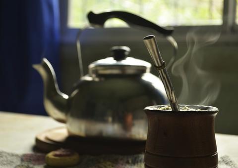 Conheça os riscos e benefícios de consumir erva mate