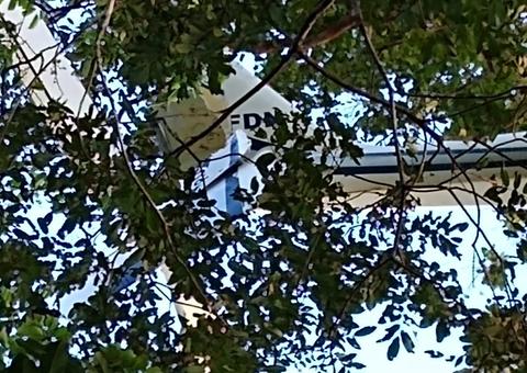 Avião cai e população rouba carga de drogas no Amazonas