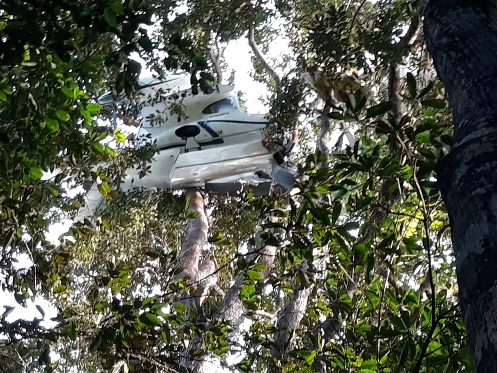 Avião cai e população rouba carga de drogas no Amazonas