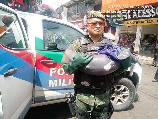 Polícia Militar resgata filhote de peixe-boi em porto do Amazonas 