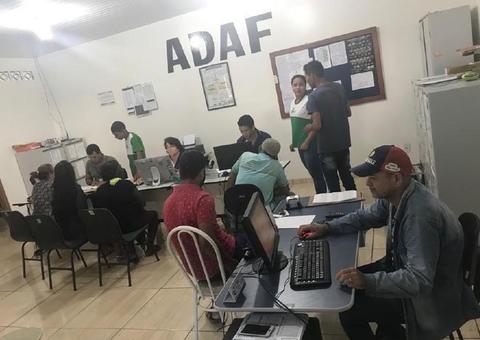 Produtores devem notificar vacinação do rebanho contra febre aftosa no Amazonas