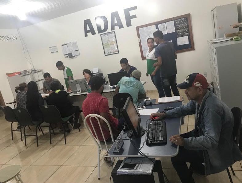 Produtores devem notificar vacinação do rebanho contra febre aftosa no Amazonas