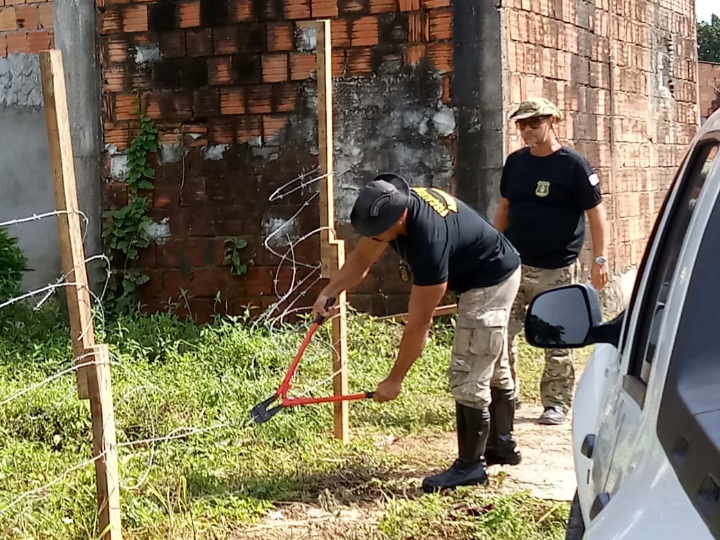 Foco de invasão é combatido em área verde do Nova Cidade