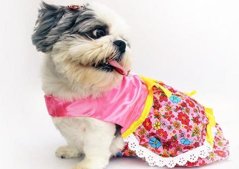 Arraial em shopping de Manaus terá concurso de fantasia ‘caipira’ para crianças e pets