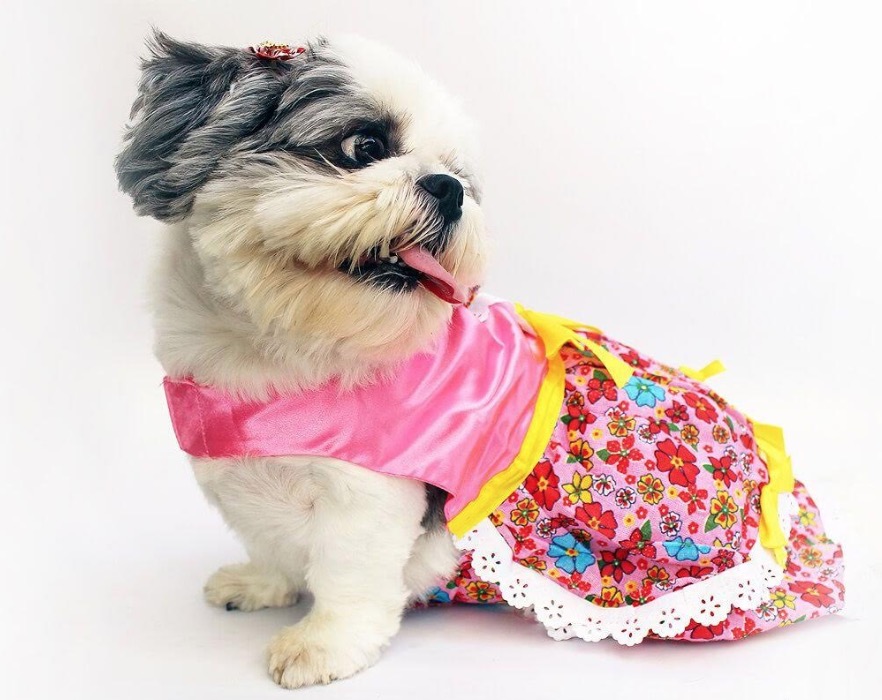 Arraial em shopping de Manaus terá concurso de fantasia ‘caipira’ para crianças e pets