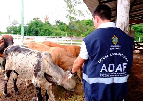 Concurso da Adaf com 208 vagas tem resultado final homologado no Diário Oficial