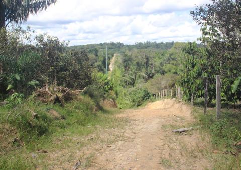 Caçador monta armadilha para pegar animal e acaba morto em ramal na BR-174