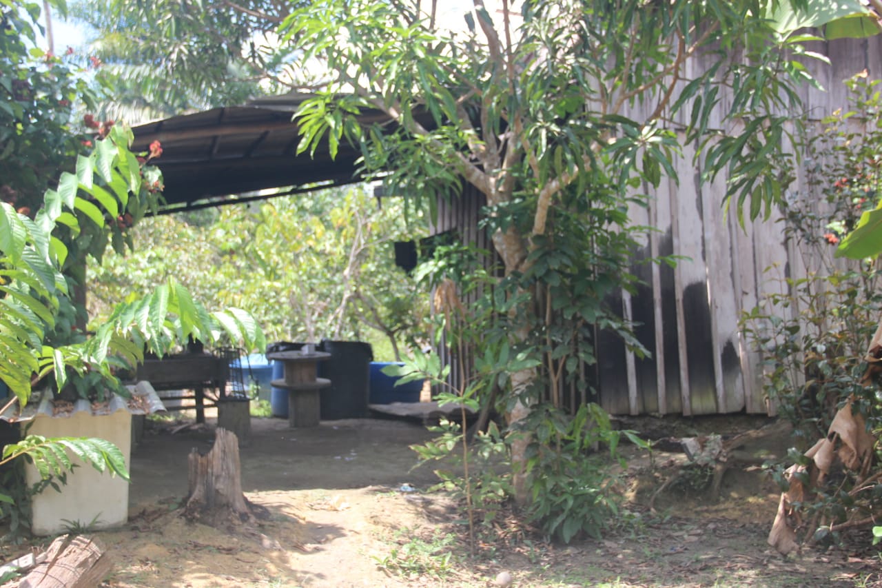 Caçador monta armadilha para pegar animal e acaba morto em ramal na BR-174