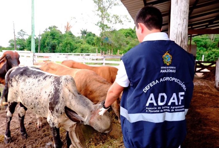 Concurso da Adaf com 208 vagas tem resultado final homologado no Diário Oficial