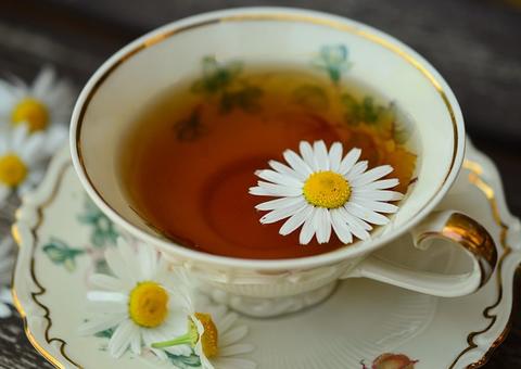Chá de camomila alivia estresse e combate inflamações; conheça benefícios