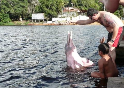 Interação com botos terá duração de apenas 20 minutos no Amazonas