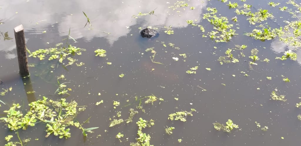 Trio é preso suspeito de matar e jogar corpo de jovem em rio durante assalto por 'ele não ter nada' 