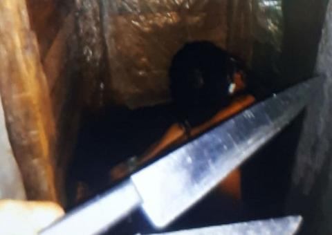 Grávida forja sequestro para provocar ex e tentar reconciliação 