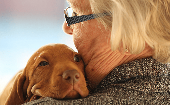 Cinoterapia: Seped oferece método terapêutico com cães para estímulo de PCD’s em Manaus