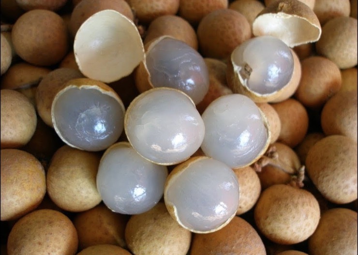 Pitomba é rica em vitamina C e previne o envelhecimento da pele. Saiba mais