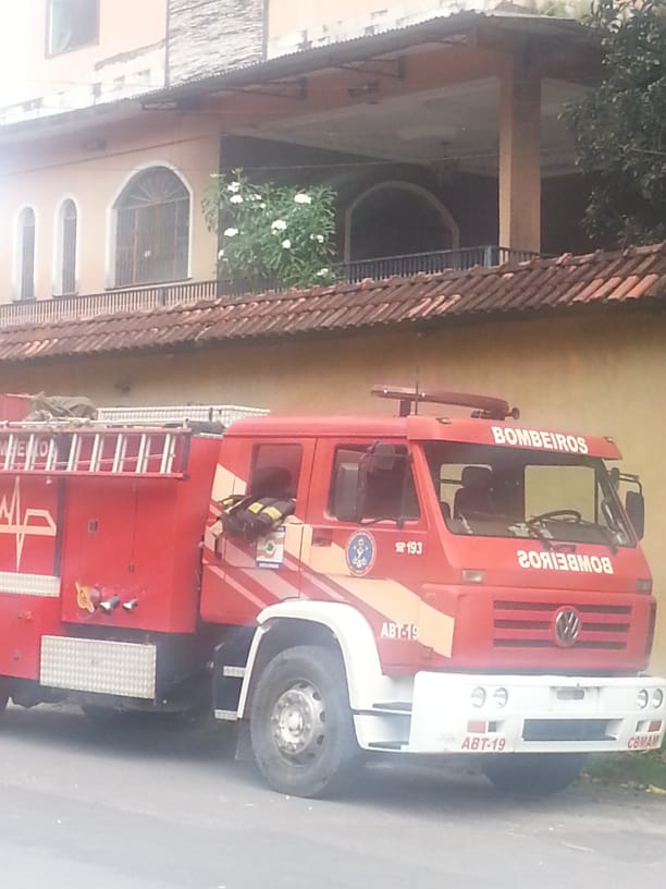 Casa de narcotraficante 'Zé Roberto da Compensa' é invadida por abelhas em Manaus 