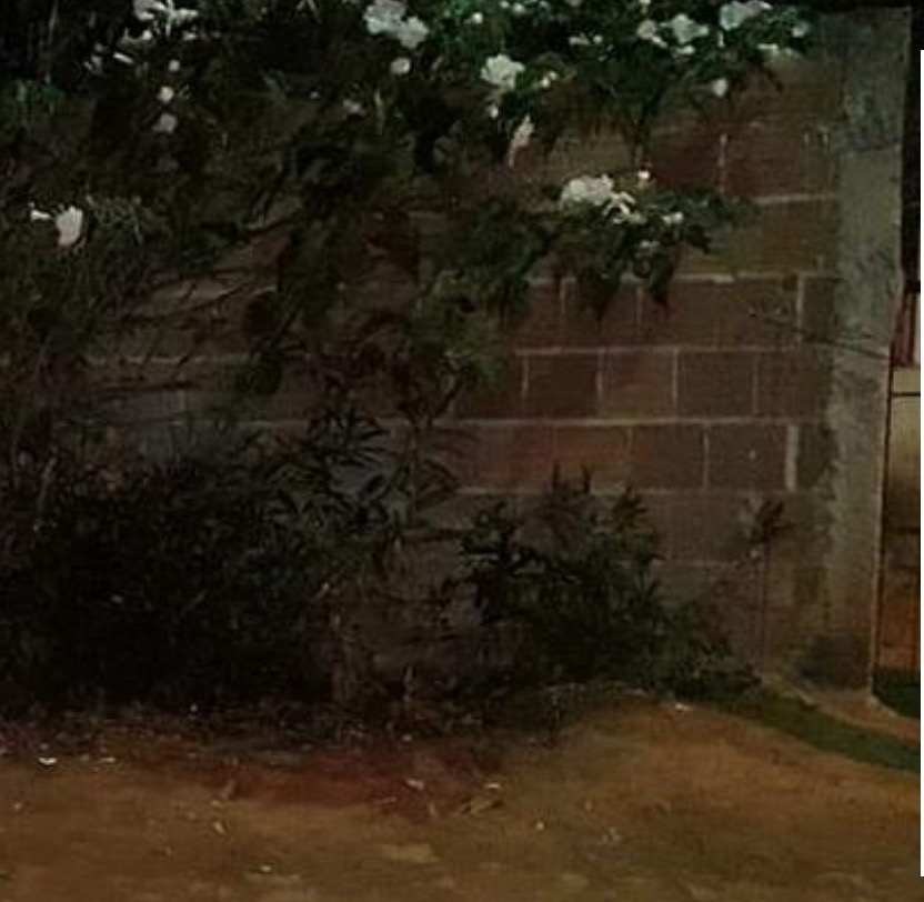 Mulher é morta a facadas com filho de 3 anos no colo; ex é suspeito, diz PM