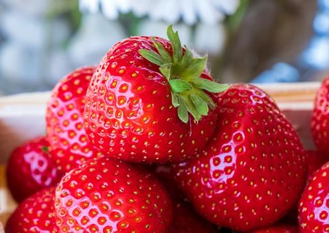 Frutas vermelhas ajudam no combate a doenças cardiovasculares 