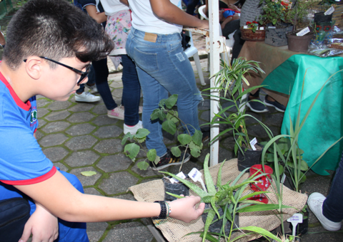 Editais abertos da Fapeam garantem R$ 20 milhões para pesquisa