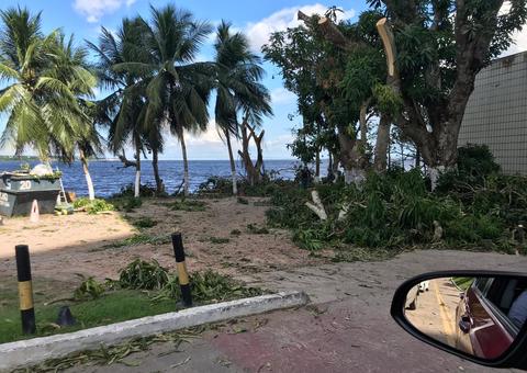 Poda e corte irregular de árvores em flat da Ponta Negra são alvos de multa
