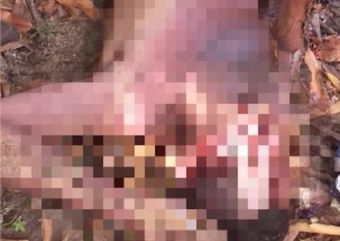 Suspeito de tentar roubar casa, homem é espancado até a morte ao cair de muro em Manaus 