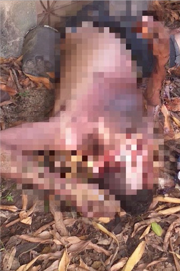 Suspeito de tentar roubar casa, homem é espancado até a morte ao cair de muro em Manaus 