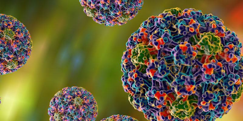 Sintomas do HPV podem ser controlados com acompanhamento médico ambulatorial