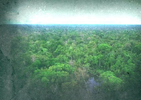 Desmatamento na Amazônia aumenta 88% em junho